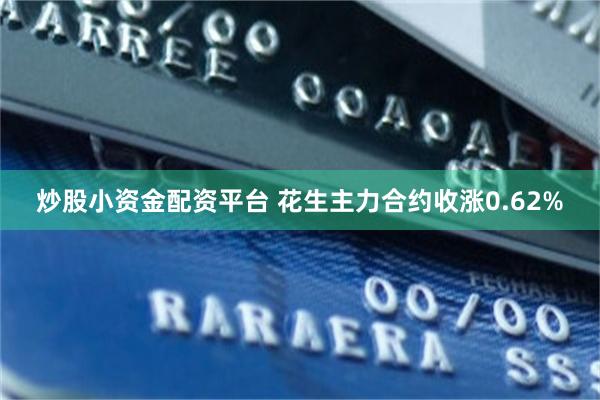 炒股小资金配资平台 花生主力合约收涨0.62%