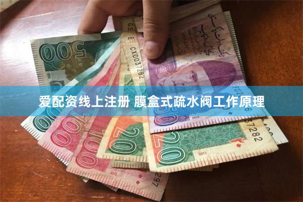 爱配资线上注册 膜盒式疏水阀工作原理