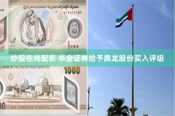 炒股在线配资 华金证券给予鼎龙股份买入评级