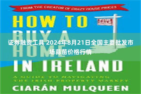 证券融资工具 2024年8月21日全国主要批发市场蒜苗价格行情