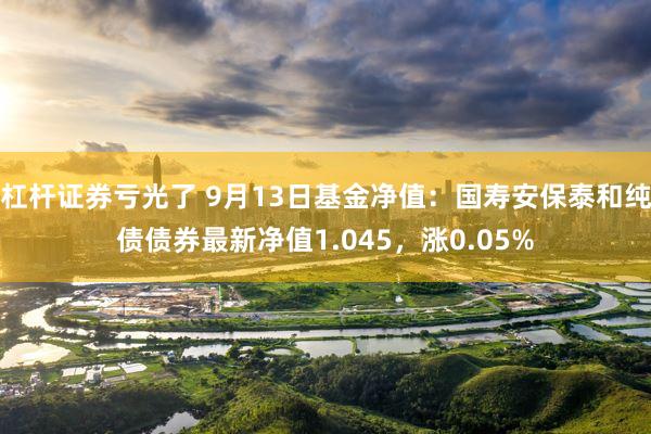 杠杆证券亏光了 9月13日基金净值：国寿安保泰和纯债债券最新净值1.045，涨0.05%