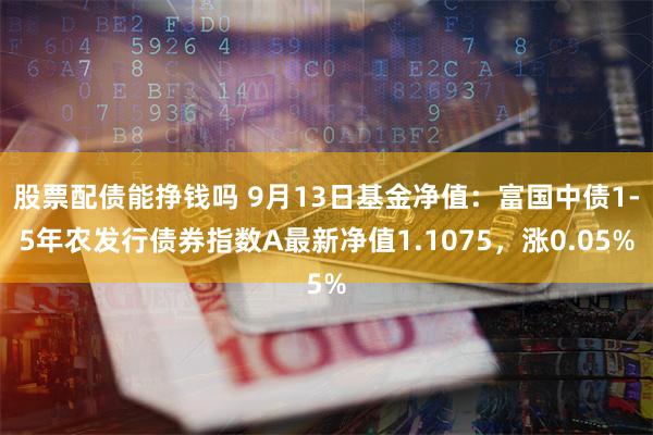 股票配债能挣钱吗 9月13日基金净值：富国中债1-5年农发行债券指数A最新净值1.1075，涨0.05%