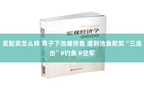 爱配资怎么样 男子下池塘捞鱼 遭到池鱼默契“三连击”#钓鱼 #空军