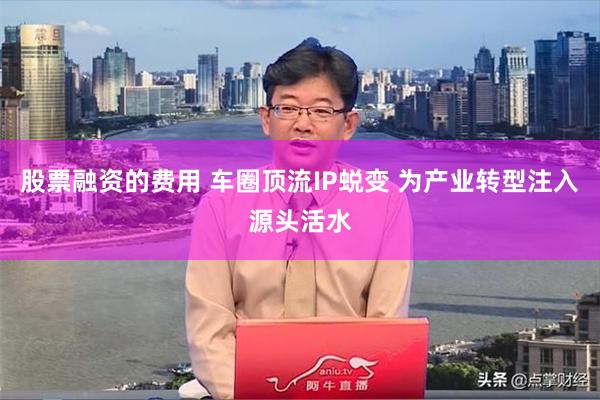 股票融资的费用 车圈顶流IP蜕变 为产业转型注入源头活水