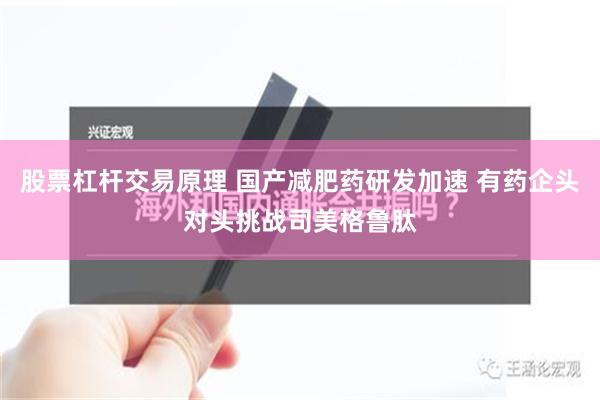 股票杠杆交易原理 国产减肥药研发加速 有药企头对头挑战司美格鲁肽