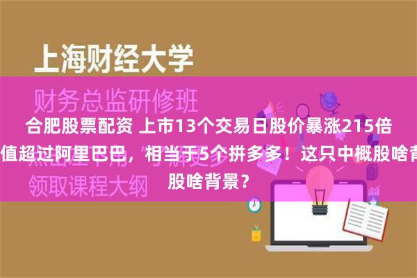 合肥股票配资 上市13个交易日股价暴涨215倍，市值超过阿里巴巴，相当于5个拼多多！这只中概股啥背景？