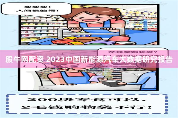 股牛网配资 2023中国新能源汽车大数据研究报告