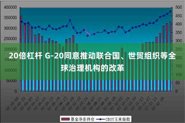 20倍杠杆 G-20同意推动联合国、世贸组织等全球治理机构的改革