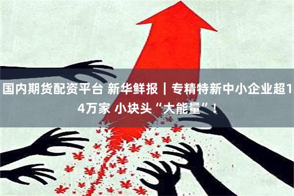 国内期货配资平台 新华鲜报｜专精特新中小企业超14万家 小块头“大能量”！
