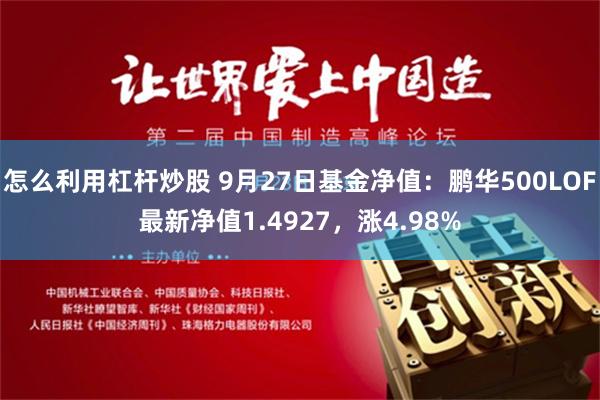 怎么利用杠杆炒股 9月27日基金净值：鹏华500LOF最新净值1.4927，涨4.98%