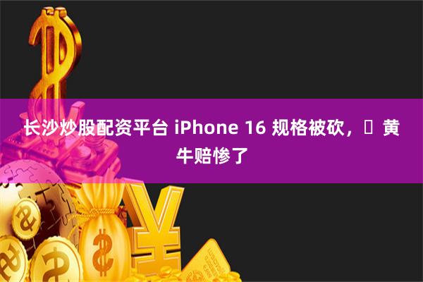 长沙炒股配资平台 iPhone 16 规格被砍，​黄牛赔惨了