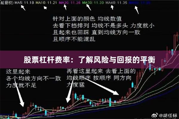 股票杠杆费率：了解风险与回报的平衡