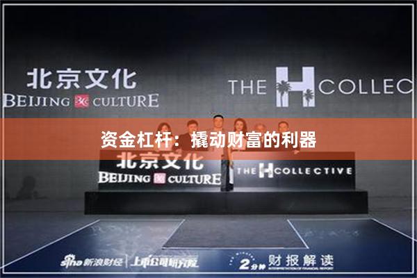 资金杠杆：撬动财富的利器