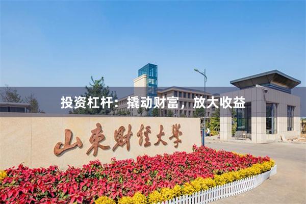 投资杠杆：撬动财富，放大收益