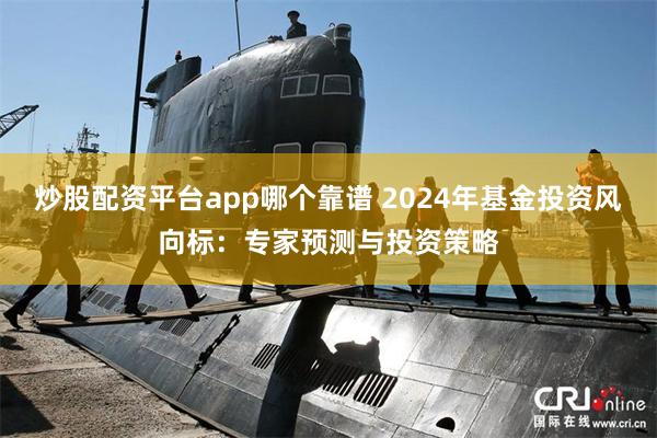 炒股配资平台app哪个靠谱 2024年基金投资风向标：专家预测与投资策略