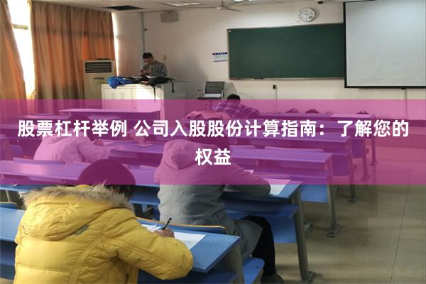 股票杠杆举例 公司入股股份计算指南：了解您的权益