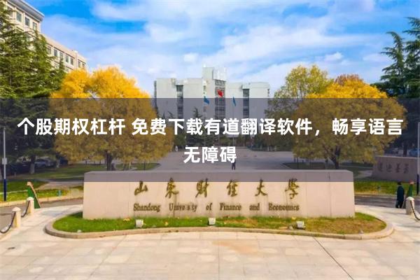 个股期权杠杆 免费下载有道翻译软件，畅享语言无障碍