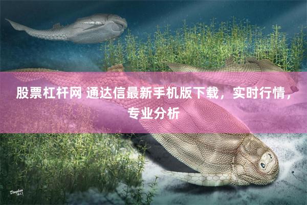 股票杠杆网 通达信最新手机版下载，实时行情，专业分析