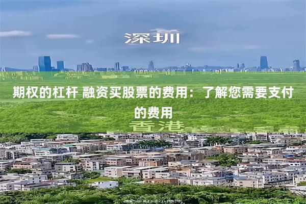 期权的杠杆 融资买股票的费用：了解您需要支付的费用