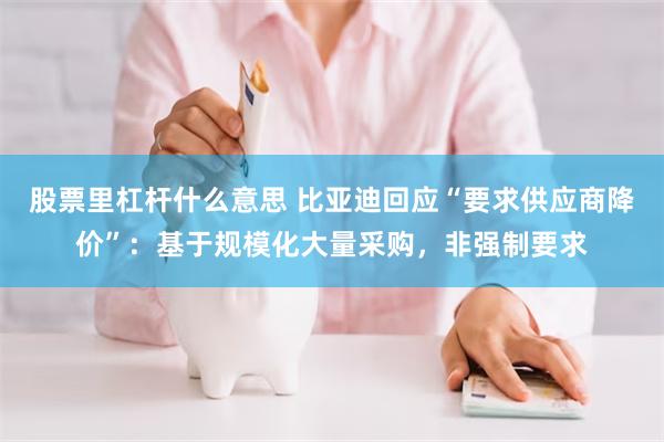 股票里杠杆什么意思 比亚迪回应“要求供应商降价”：基于规模化大量采购，非强制要求