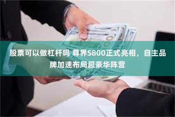 股票可以做杠杆吗 尊界S800正式亮相，自主品牌加速布局超豪华阵营