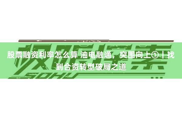 股票融资利率怎么算 油电融通，突围向上①｜找到合资转型破局之道