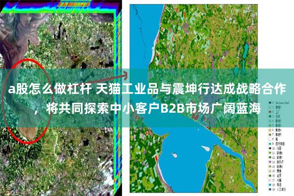a股怎么做杠杆 天猫工业品与震坤行达成战略合作，将共同探索中小客户B2B市场广阔蓝海