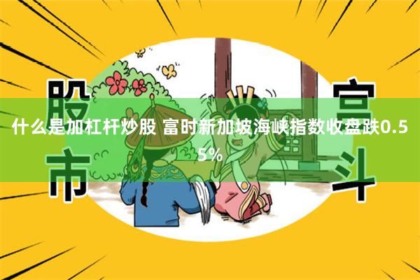 什么是加杠杆炒股 富时新加坡海峡指数收盘跌0.55%
