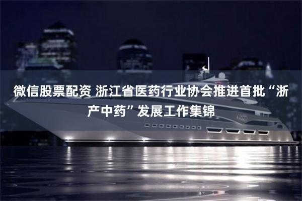 微信股票配资 浙江省医药行业协会推进首批“浙产中药”发展工作集锦