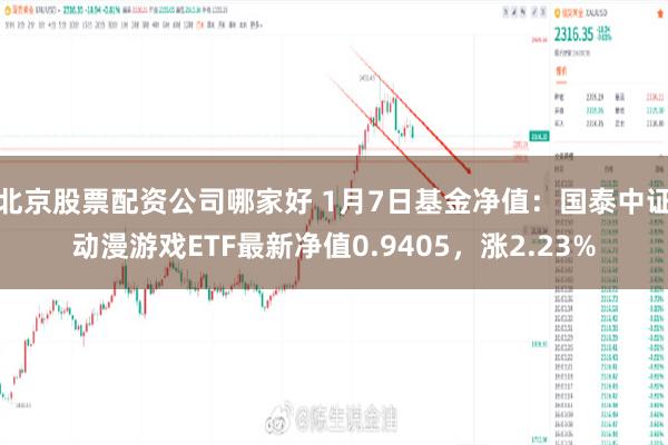 北京股票配资公司哪家好 1月7日基金净值：国泰中证动漫游戏ETF最新净值0.9405，涨2.23%
