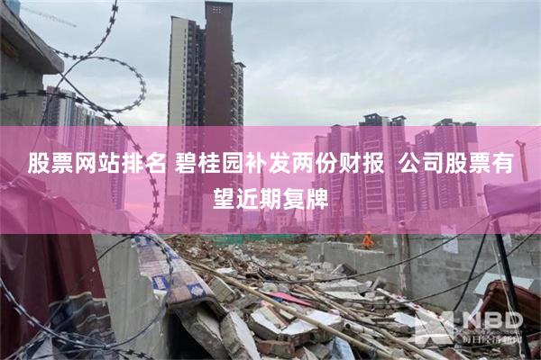 股票网站排名 碧桂园补发两份财报  公司股票有望近期复牌