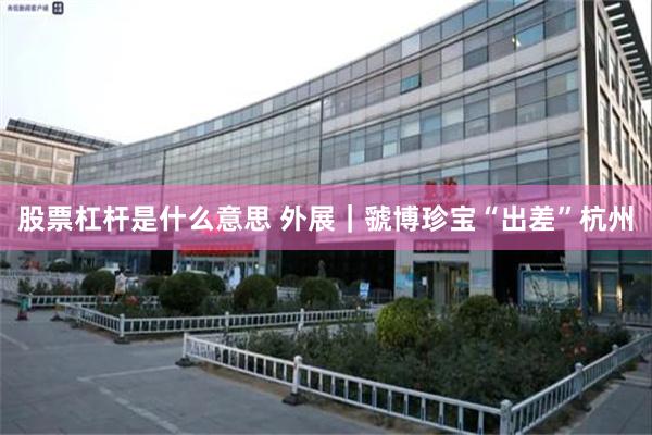 股票杠杆是什么意思 外展｜虢博珍宝“出差”杭州