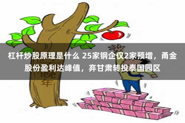 杠杆炒股原理是什么 25家钢企仅2家预增，甬金股份盈利达峰值，弃甘肃转投泰国园区