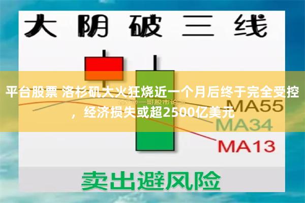 平台股票 洛杉矶大火狂烧近一个月后终于完全受控，经济损失或超2500亿美元