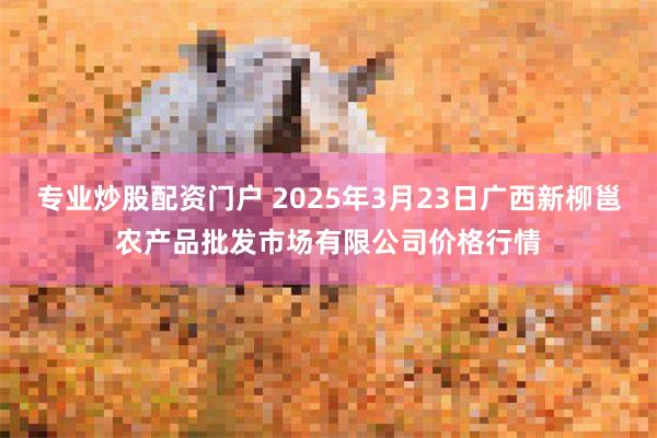 专业炒股配资门户 2025年3月23日广西新柳邕农产品批发市场有限公司价格行情