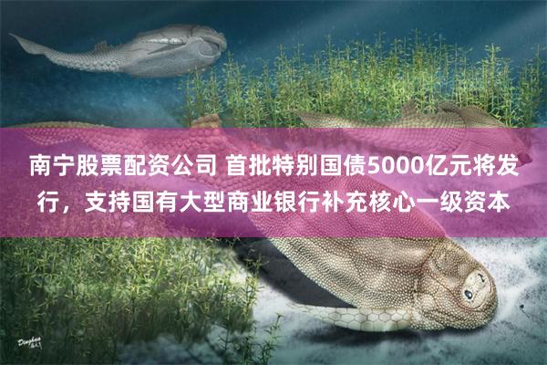 南宁股票配资公司 首批特别国债5000亿元将发行，支持国有大型商业银行补充核心一级资本