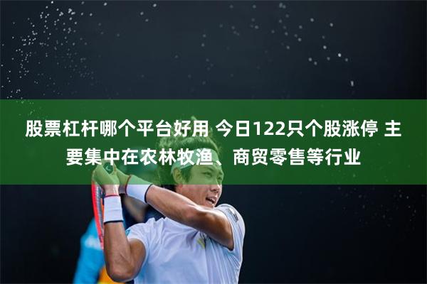 股票杠杆哪个平台好用 今日122只个股涨停 主要集中在农林牧渔、商贸零售等行业