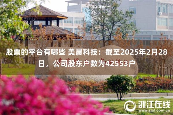 股票的平台有哪些 美晨科技：截至2025年2月28日，公司股东户数为42553户