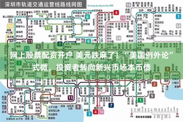 网上股票配资开户 美元跌麻了！“美国例外论”式微，投资者转向新兴市场本币债