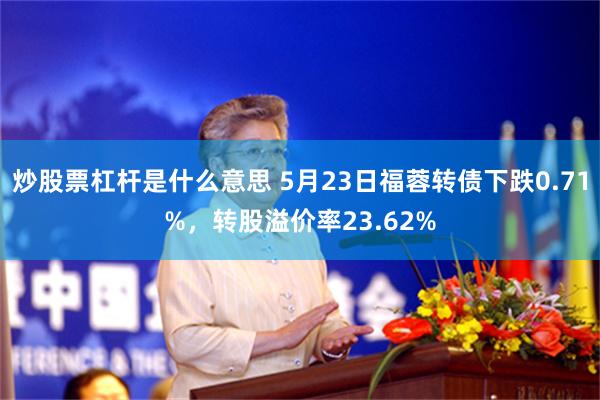 炒股票杠杆是什么意思 5月23日福蓉转债下跌0.71%，转股溢价率23.62%