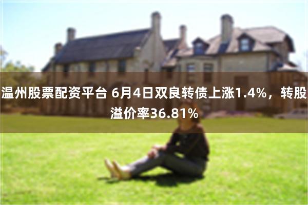 温州股票配资平台 6月4日双良转债上涨1.4%，转股溢价率36.81%