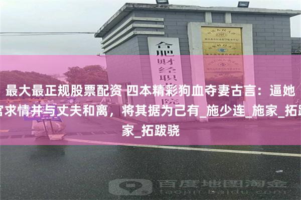 最大最正规股票配资 四本精彩狗血夺妻古言：逼她入宫求情并与丈夫和离，将其据为己有_施少连_施家_拓跋骁