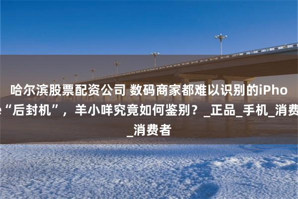 哈尔滨股票配资公司 数码商家都难以识别的iPhone“后封机”，羊小咩究竟如何鉴别？_正品_手机_消费者