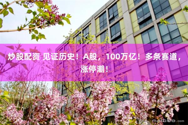 炒股配资 见证历史！A股，100万亿！多条赛道，涨停潮！