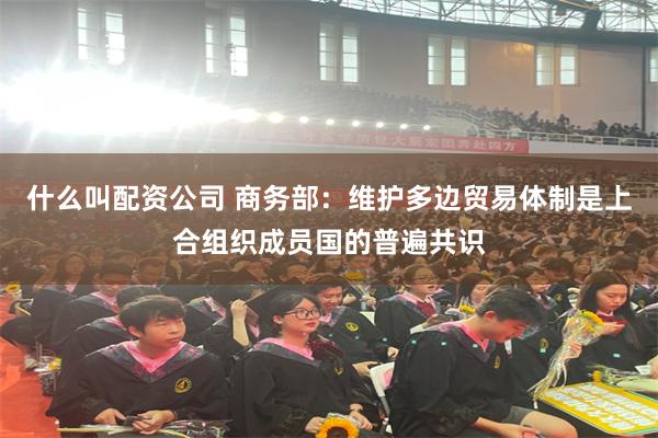 什么叫配资公司 商务部：维护多边贸易体制是上合组织成员国的普遍共识